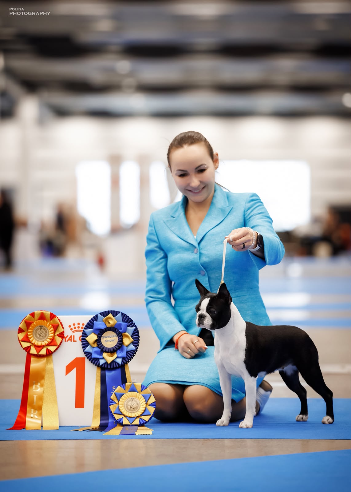 AT Team Divine Darla - European Dog Show 2026 Junior Best of Day